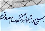 سکوت نهادهای عریض و طویل ایران در برابر هتک حرمت مسجدالاقصی مایه تأسف است / گزارش دهید در ۱۰ روز اخیر و یکسال اخیر برای فلسطین چه کرده‌اید؟